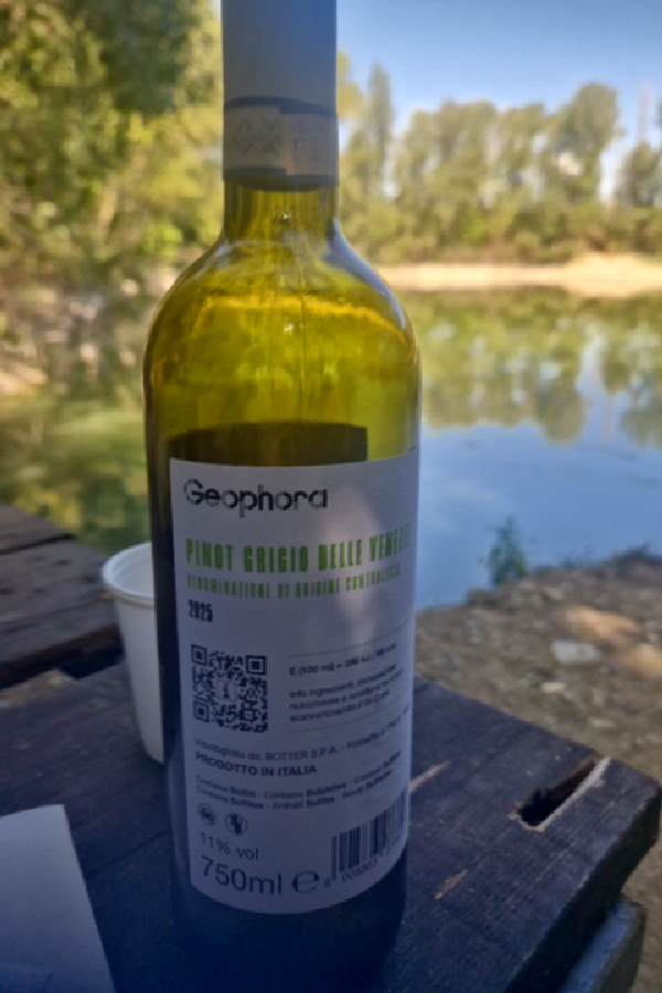 Geophora Pinot Grigio delle Venezie - Image 1