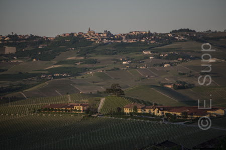 Barolo Vigna Pola - Image 1