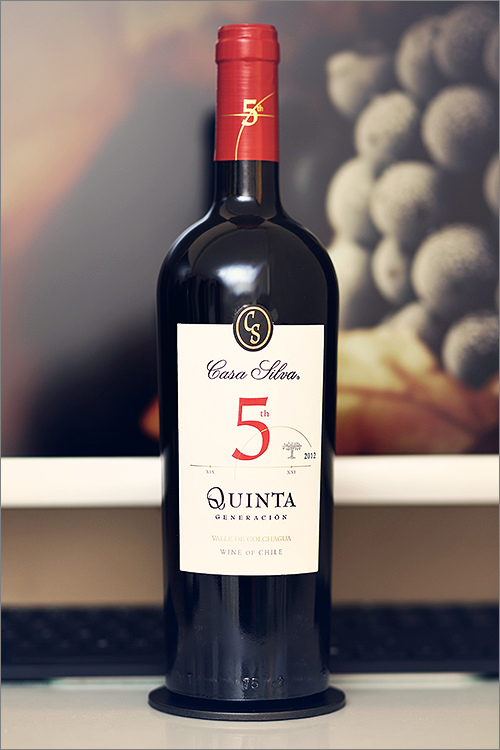 Casa Silva Quinta Generación - Image 1