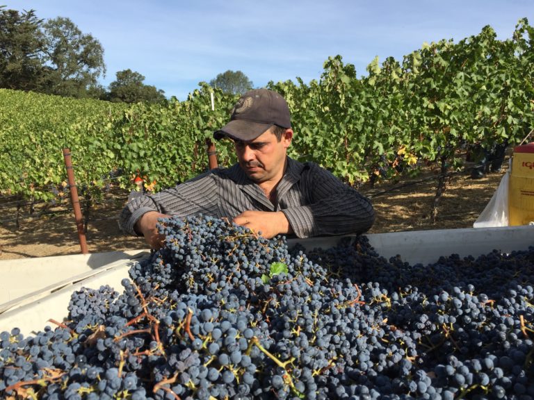 2018 Estate Cabernet Sauvignon Judy's Vineyard - Image 1