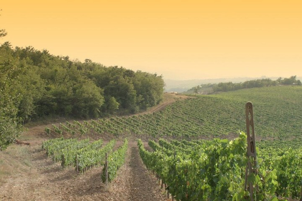 Villetta Chianti Classico - Image 1