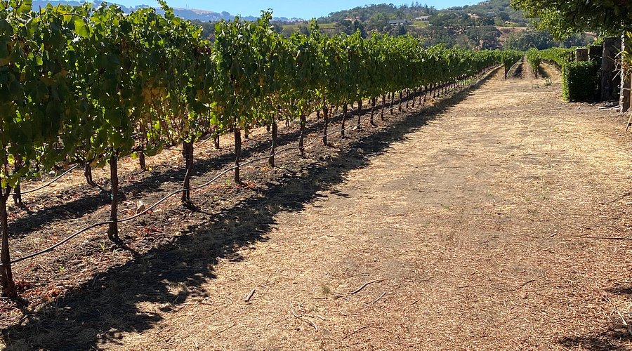 St. Anne's Crossing - Image 1