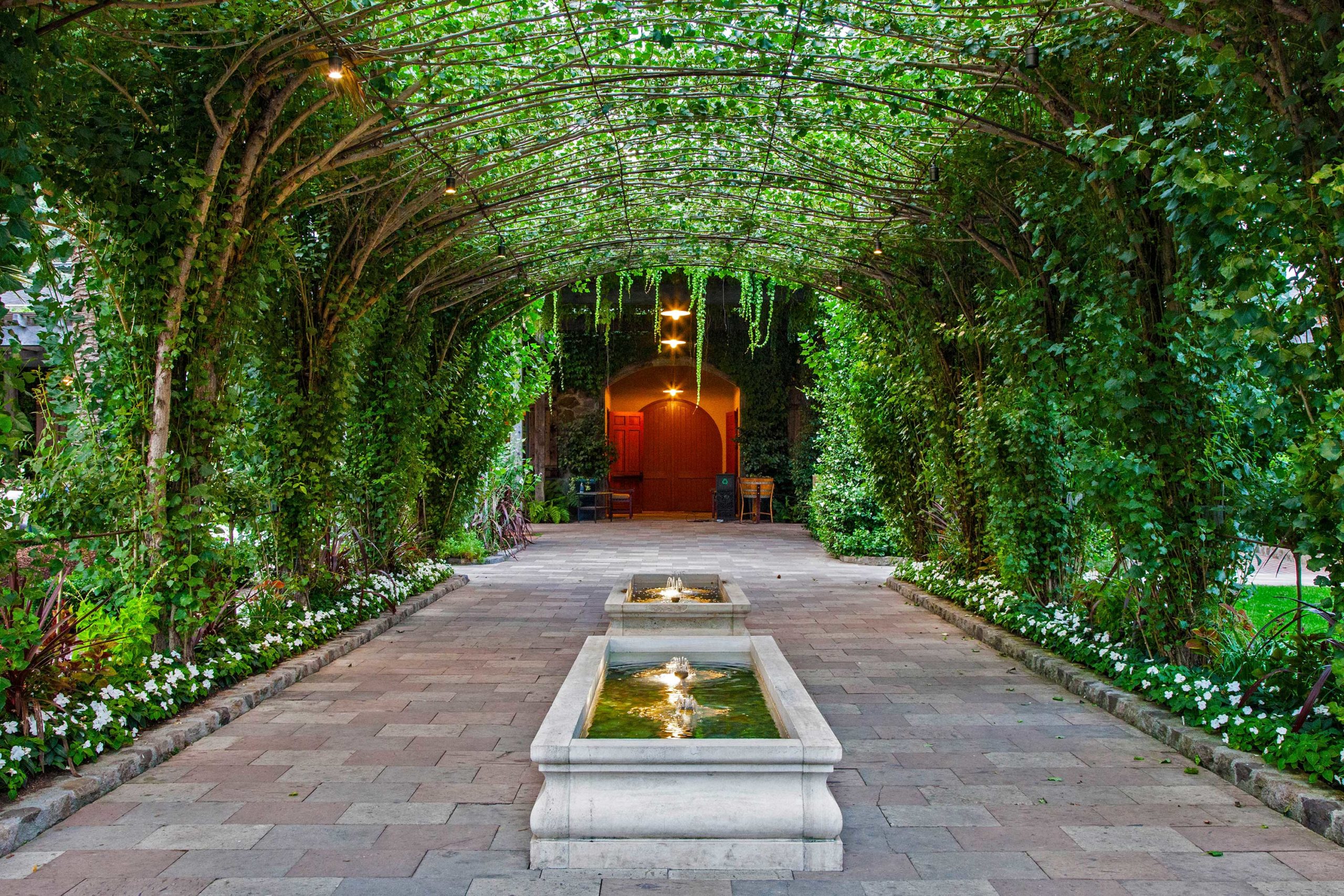 Caymus Vineyards - Image 1