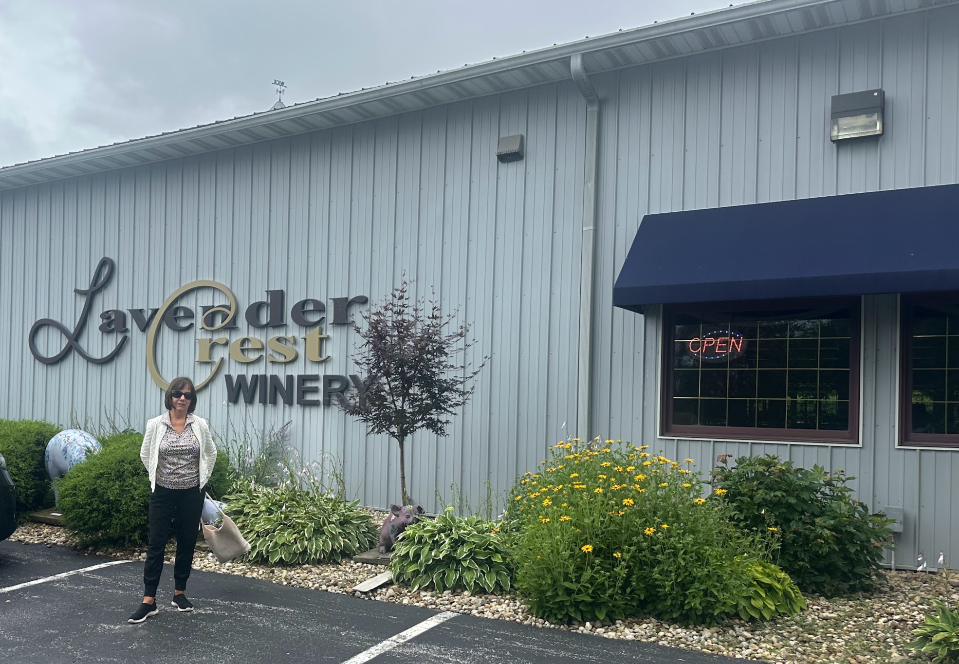 Midnight Museum Pinot Noir - Image 1