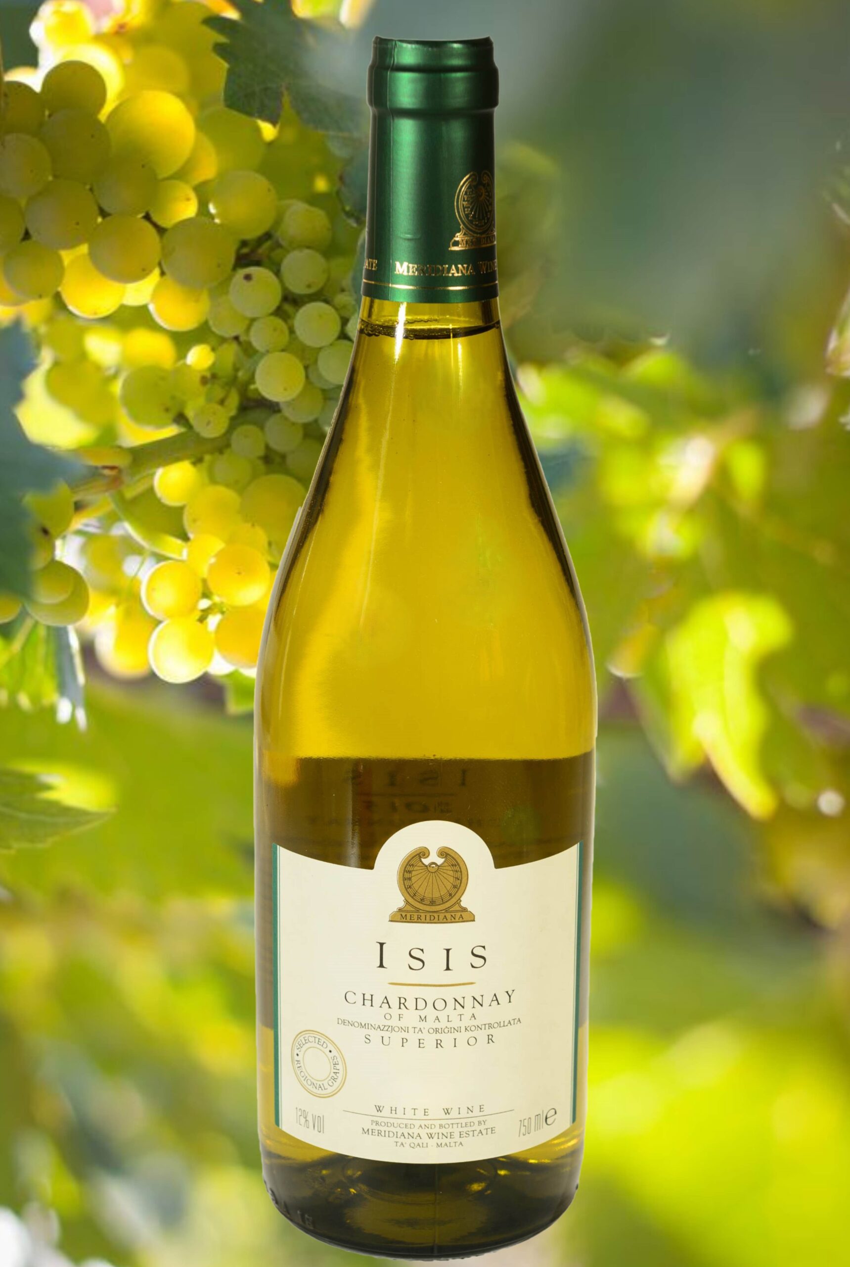 Wine Bottle