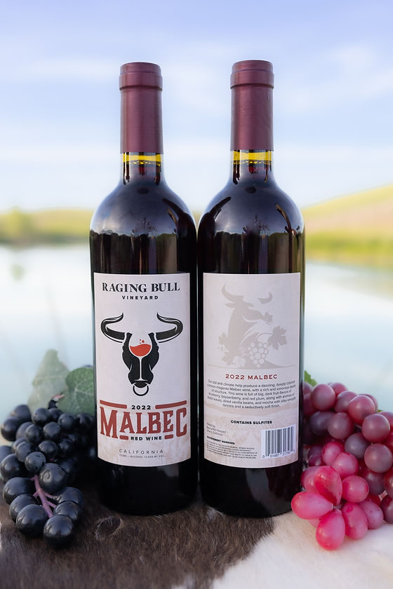 Raging Bull Malbec - Image 1