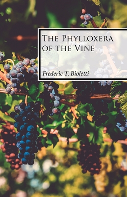 T-Vine Zinfandel Frederick Block 9 - Image 1