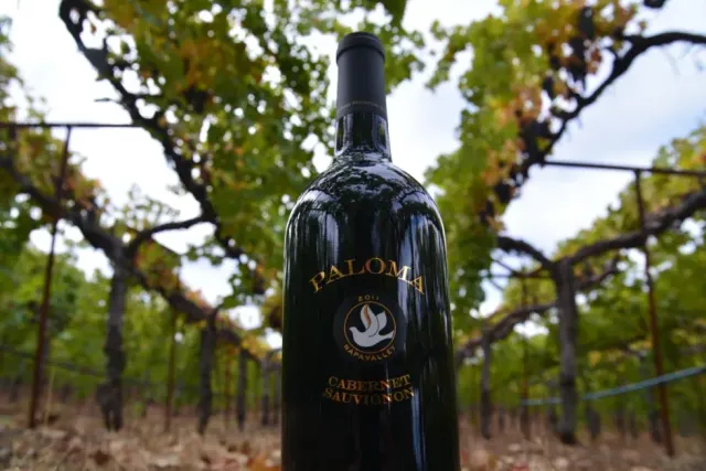 Cabernet Sauvignon - Image 1