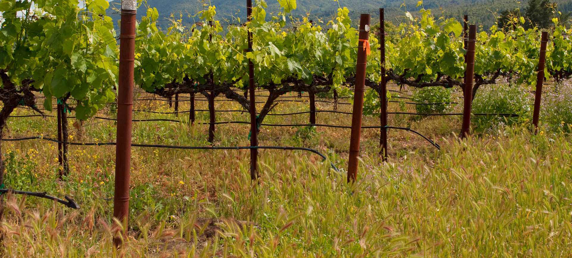 Sasso Bucato - Image 1