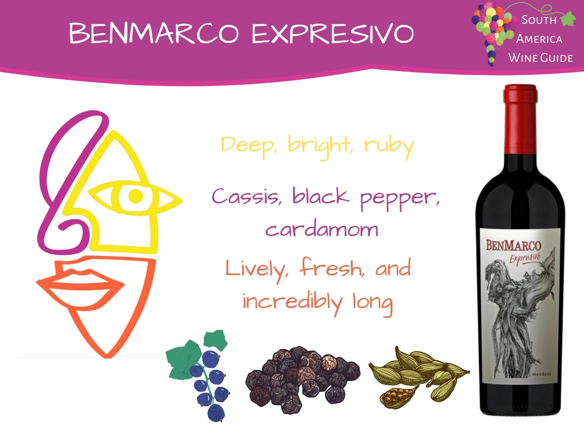 BenMarco Malbec - Image 1