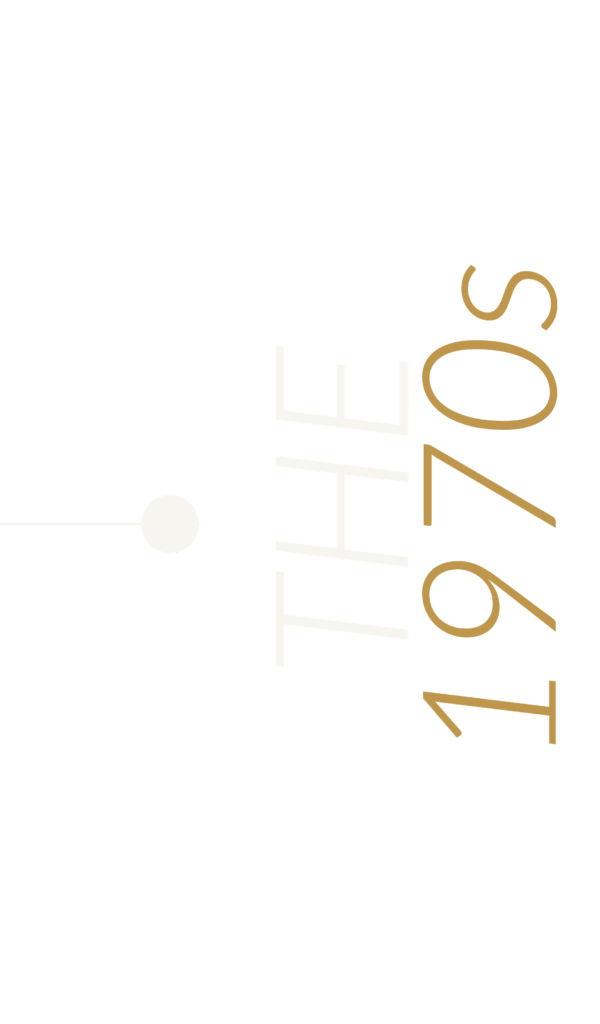 Goal Casone - Image 1