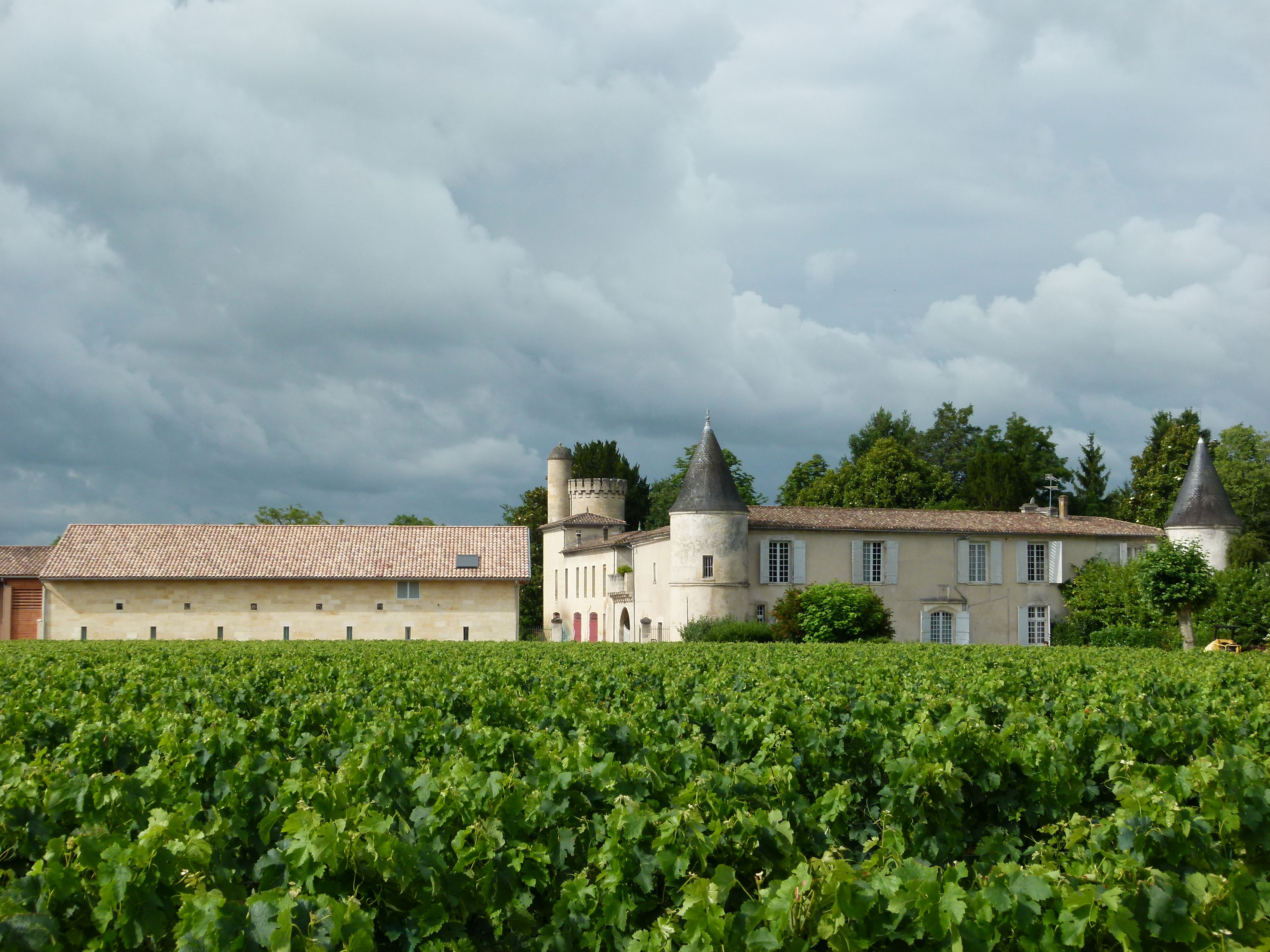 Château Cruzeau Saint-Émilion Grand Cru - Image 1