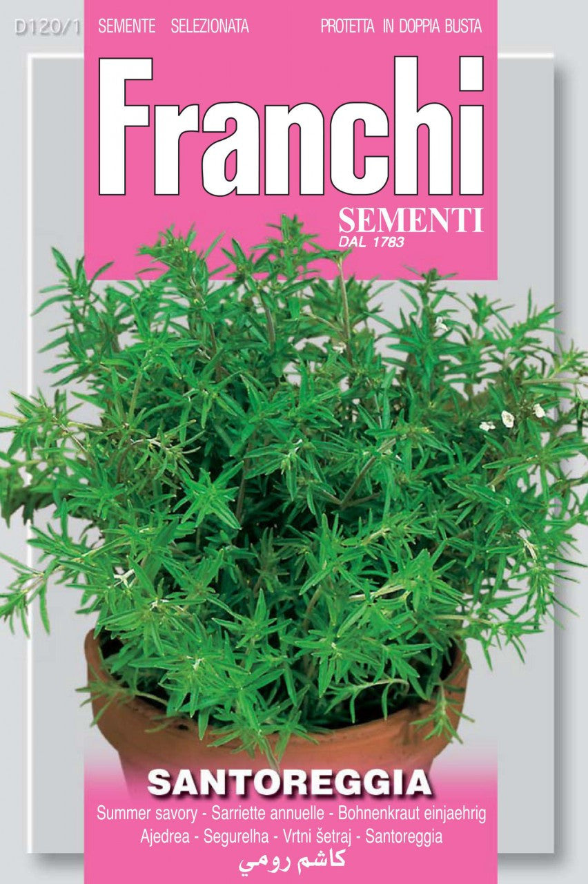 Santoreggia - Image 1