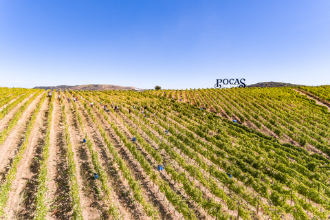Douro DOC - Image 1