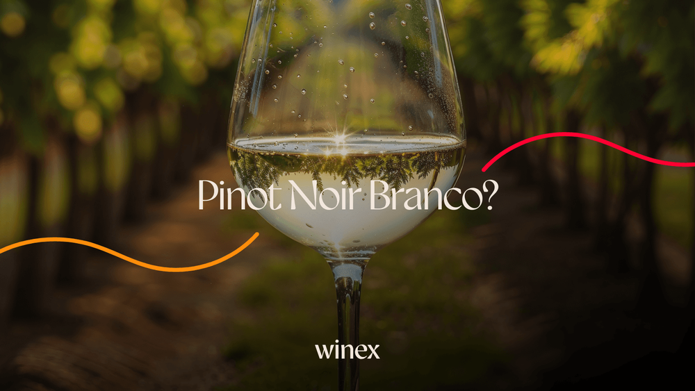 Pinot Noir Branco?