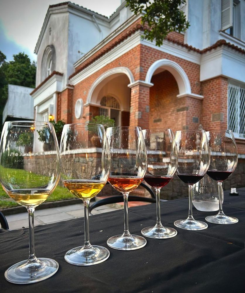 Cave Poseidon Microvinícola: quando o vinho nasce no meio da cidade