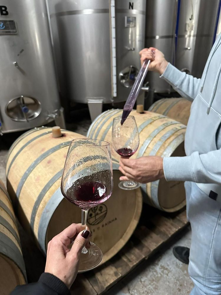 Fazer vinho, afinal, é um parto!