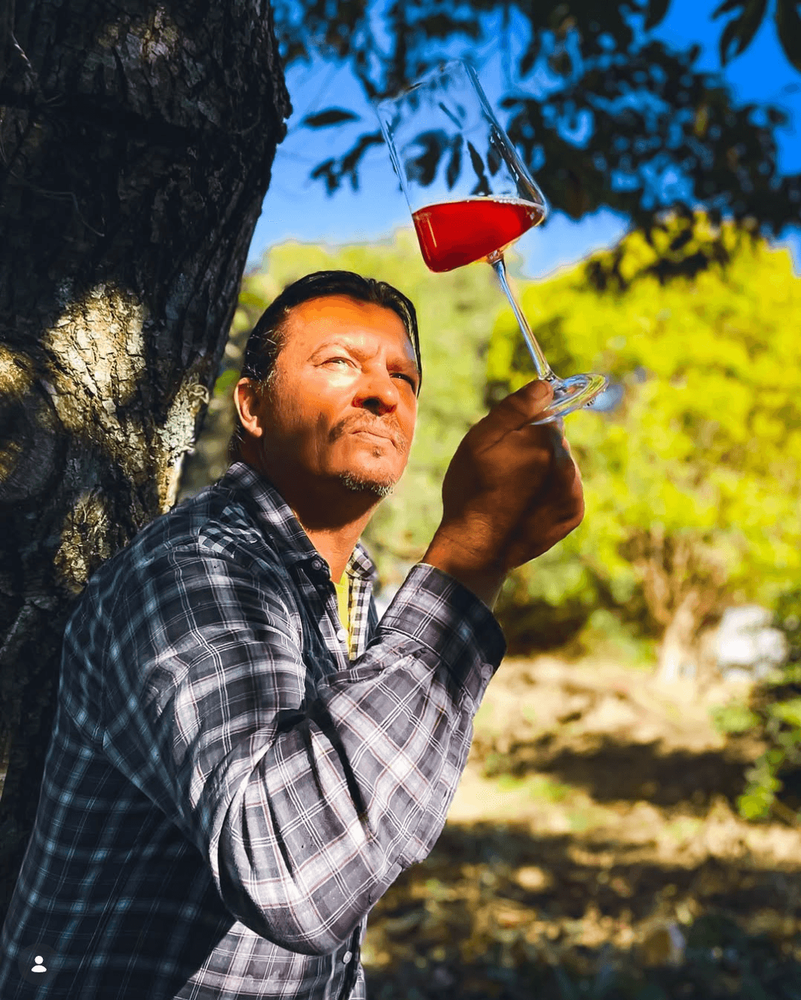 Negroponte Vigna: o Pinot Noir que nasce nos Campos de Cima da Serra
