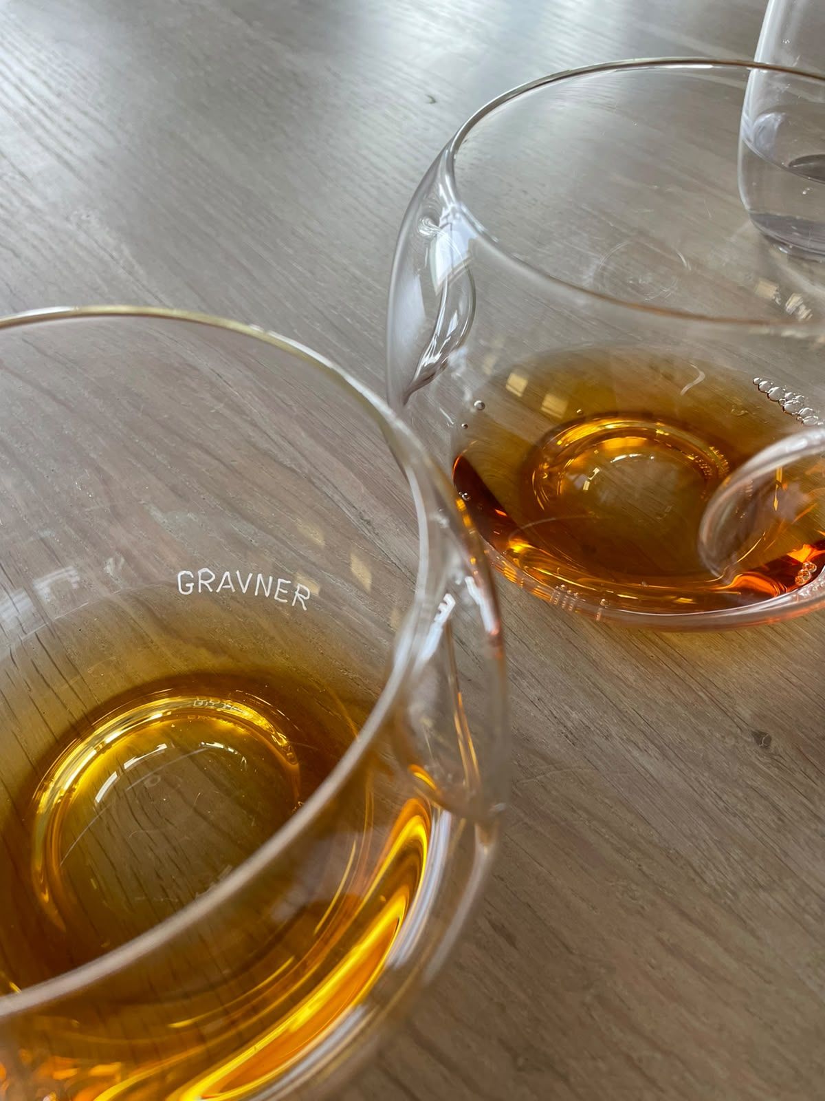 taca gravner.jpeg