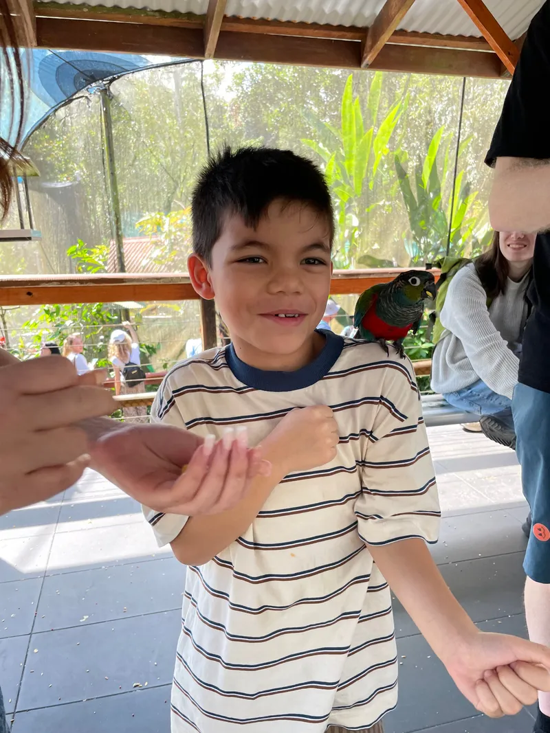 The boy laughing with the parrot on his shoulder