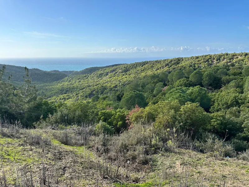 Anzac Cove, photo 13 of 18