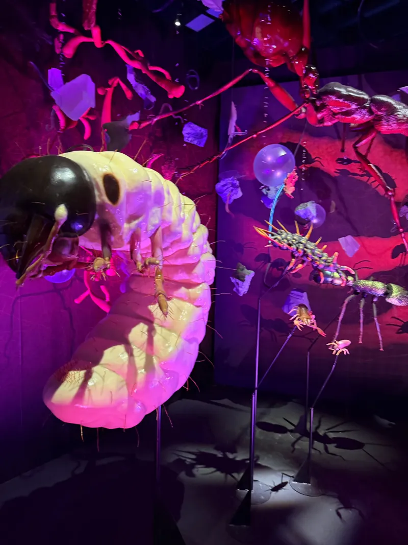 Giant model insects in purple and pink light