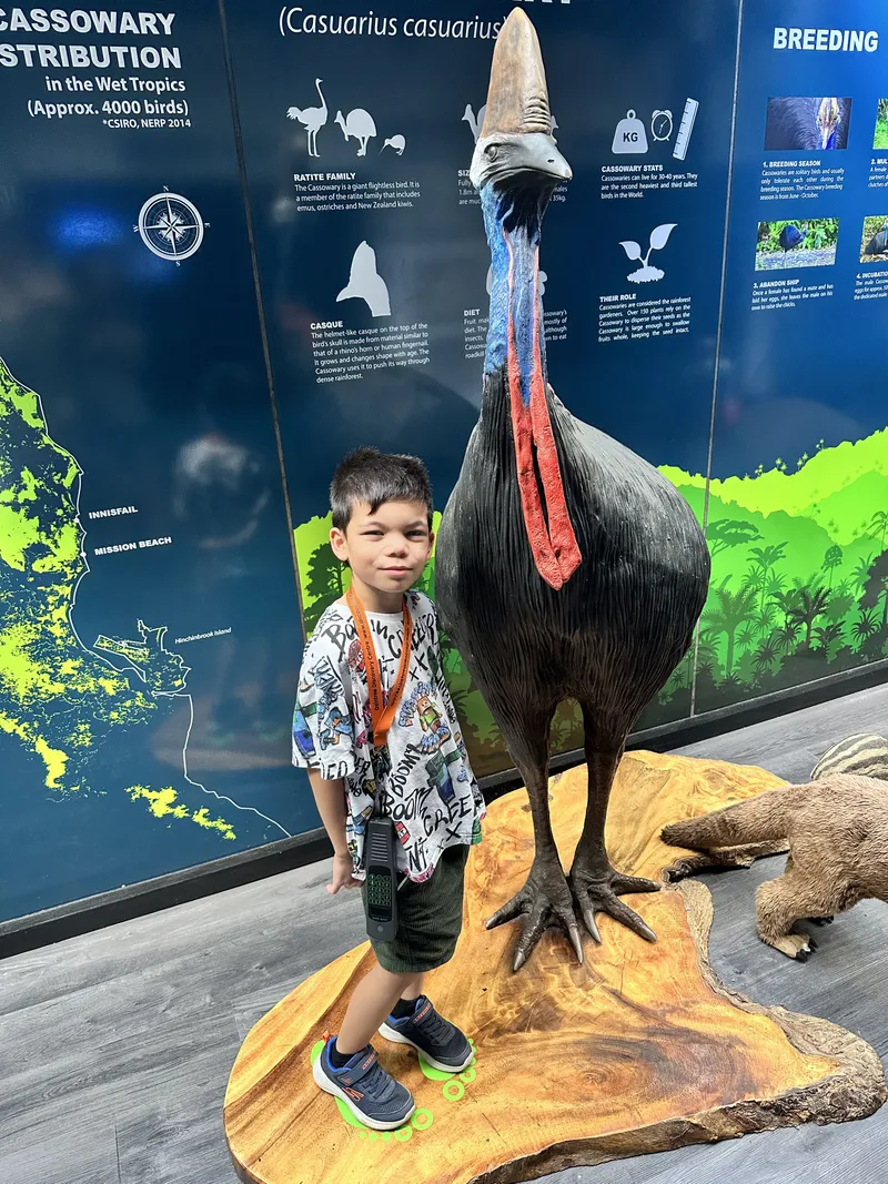 A boy standing next to a life-size cassowary model