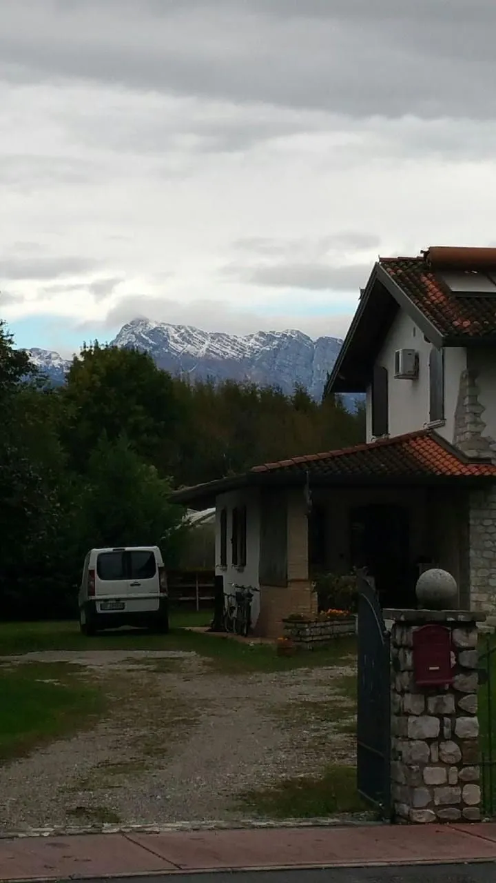 Vivaro - Dani's Family, photo 2 of 3