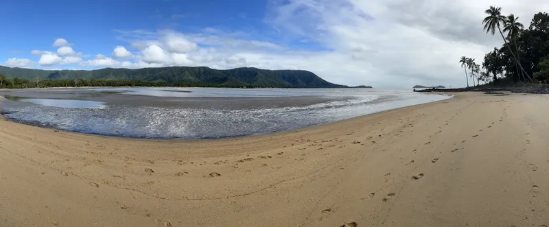 A wide sweep of beach at low tide, with palms at the far end