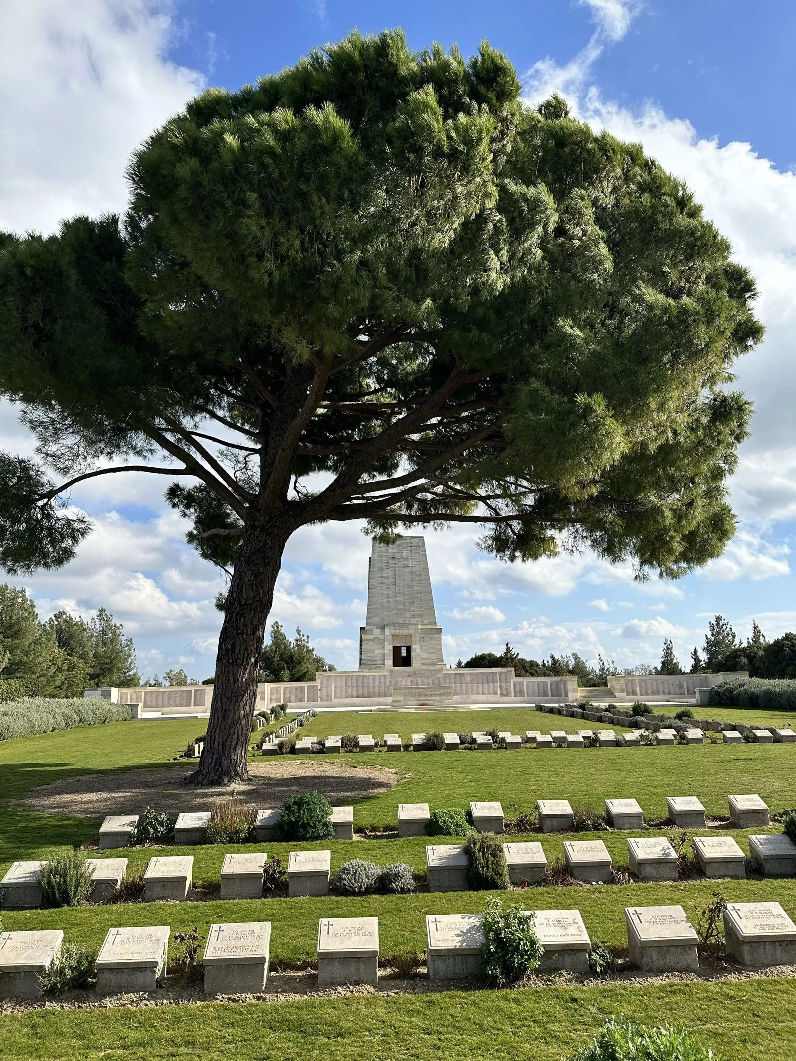 The Lone Pine memorial and its pine tree above rows of headstones at Gallipoli