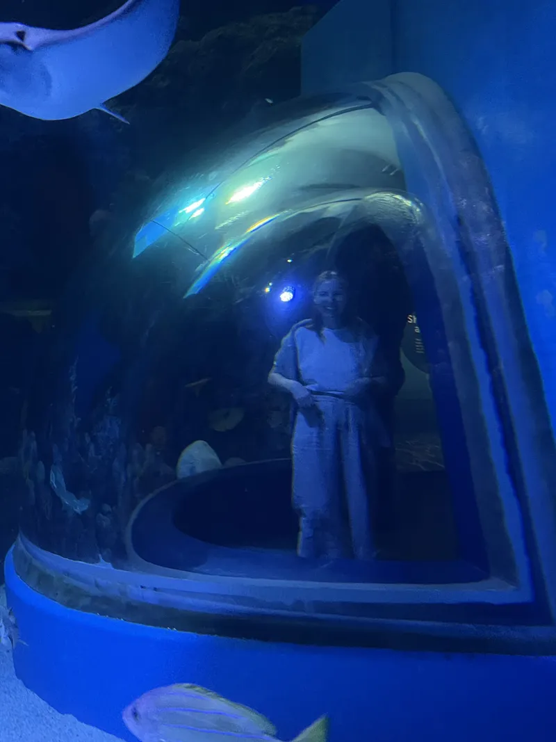 A woman waving from inside the viewing bubble