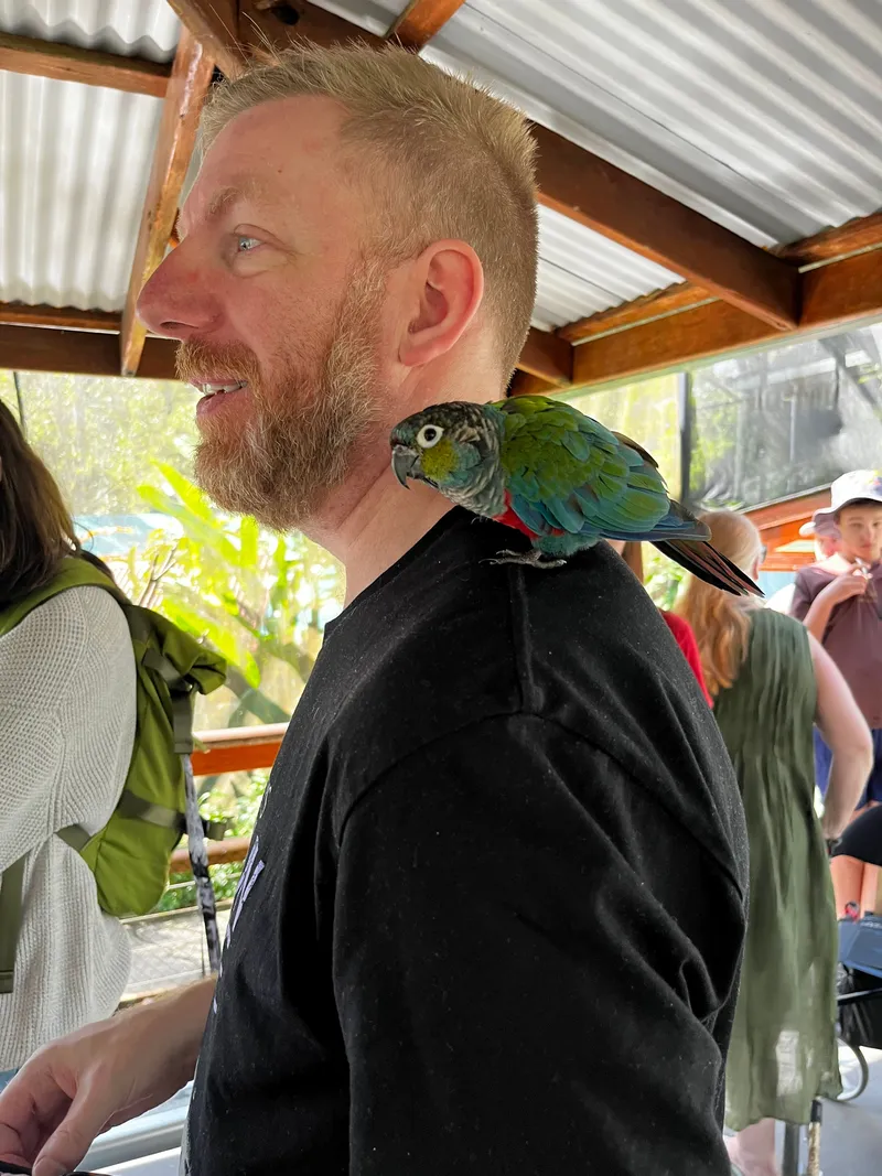A man with a green-cheeked conure on his shoulder