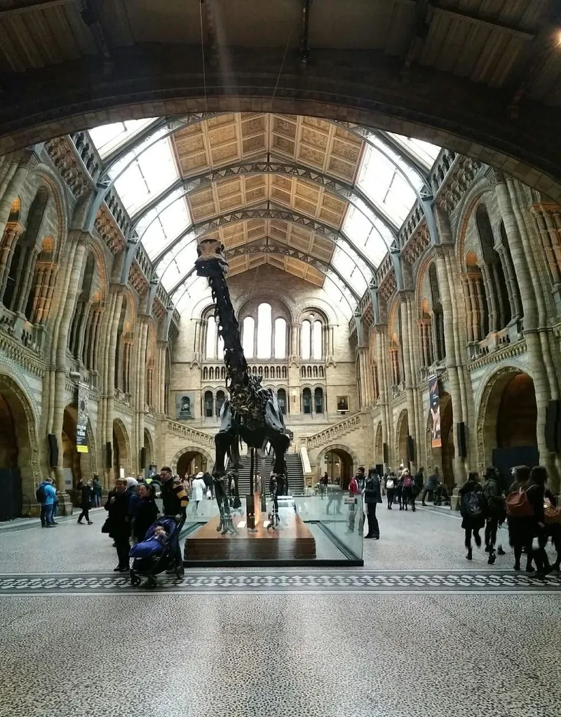 Natural History Museum, photo 6 of 6