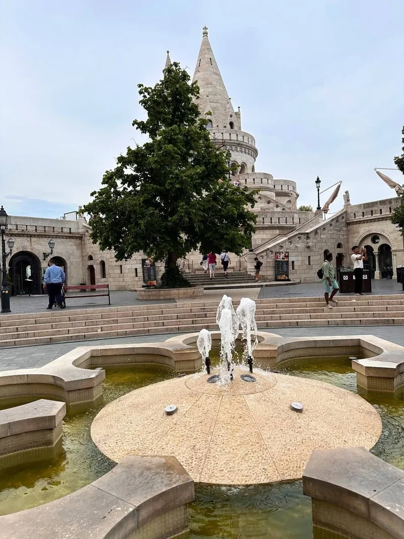 Buda castle and more walking!, photo 2 of 10