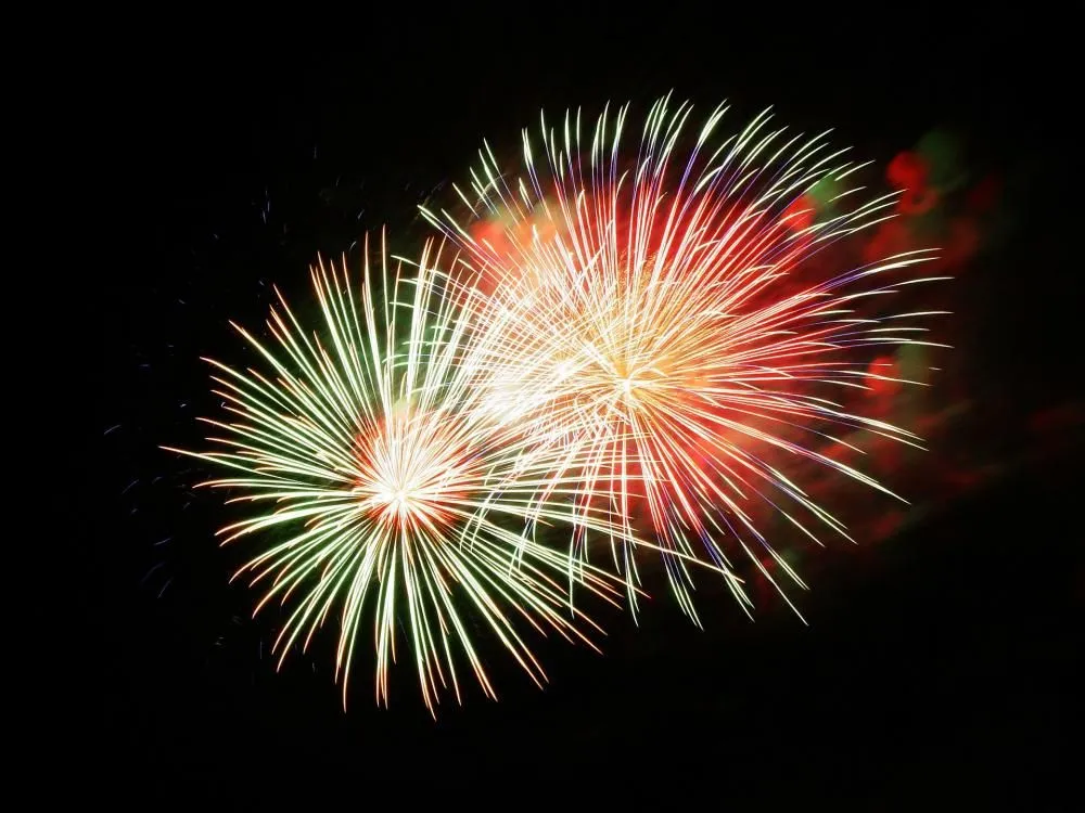 Fireworks bursting in the night sky