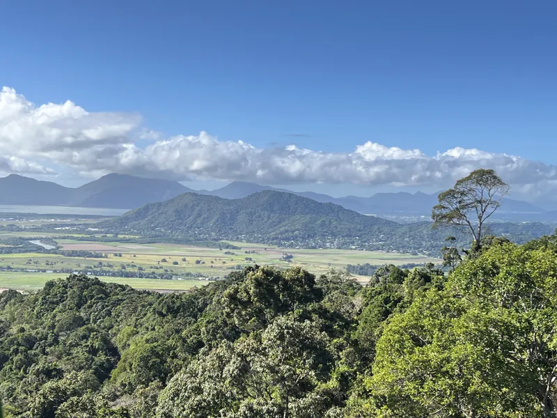 Rainforest falling away to the plain and the mountains near Cairns