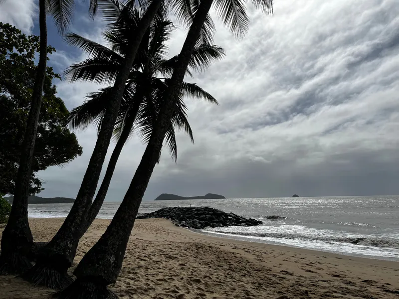 Palm trees silhouetted against a cloudy sky over the beach