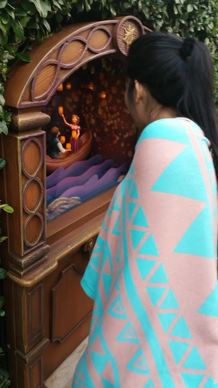 Disneyland!, photo 35 of 44