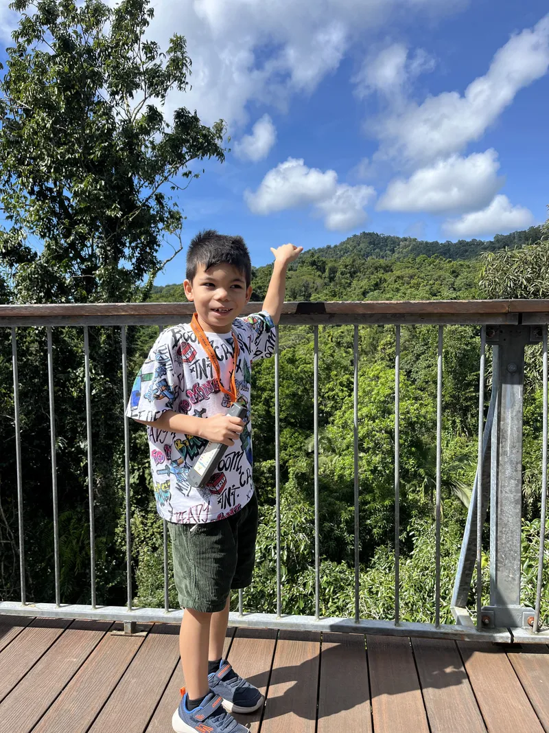 A boy pointing out over the forest from the tower