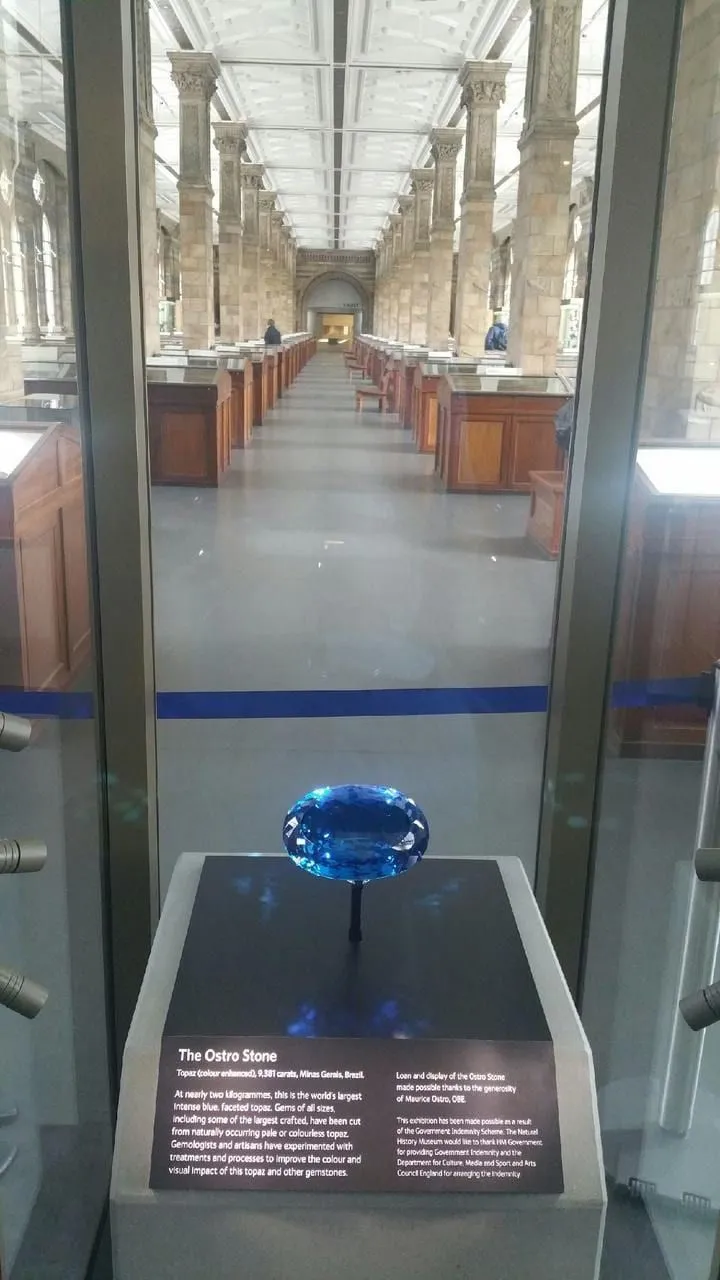 Natural History Museum, photo 2 of 6