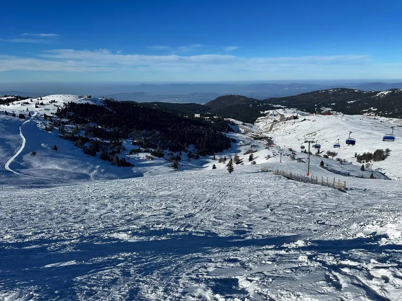 Surprising trip to the snow, photo 4 of 8