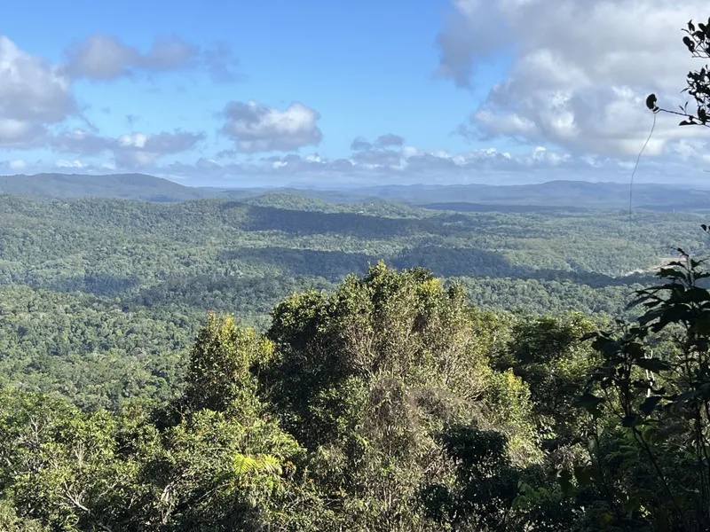 Rainforest stretching to the horizon from Red Peak