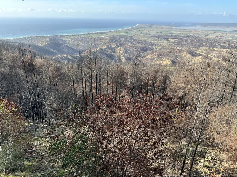 Fire-scarred forest on the ridges above the Gallipoli coast