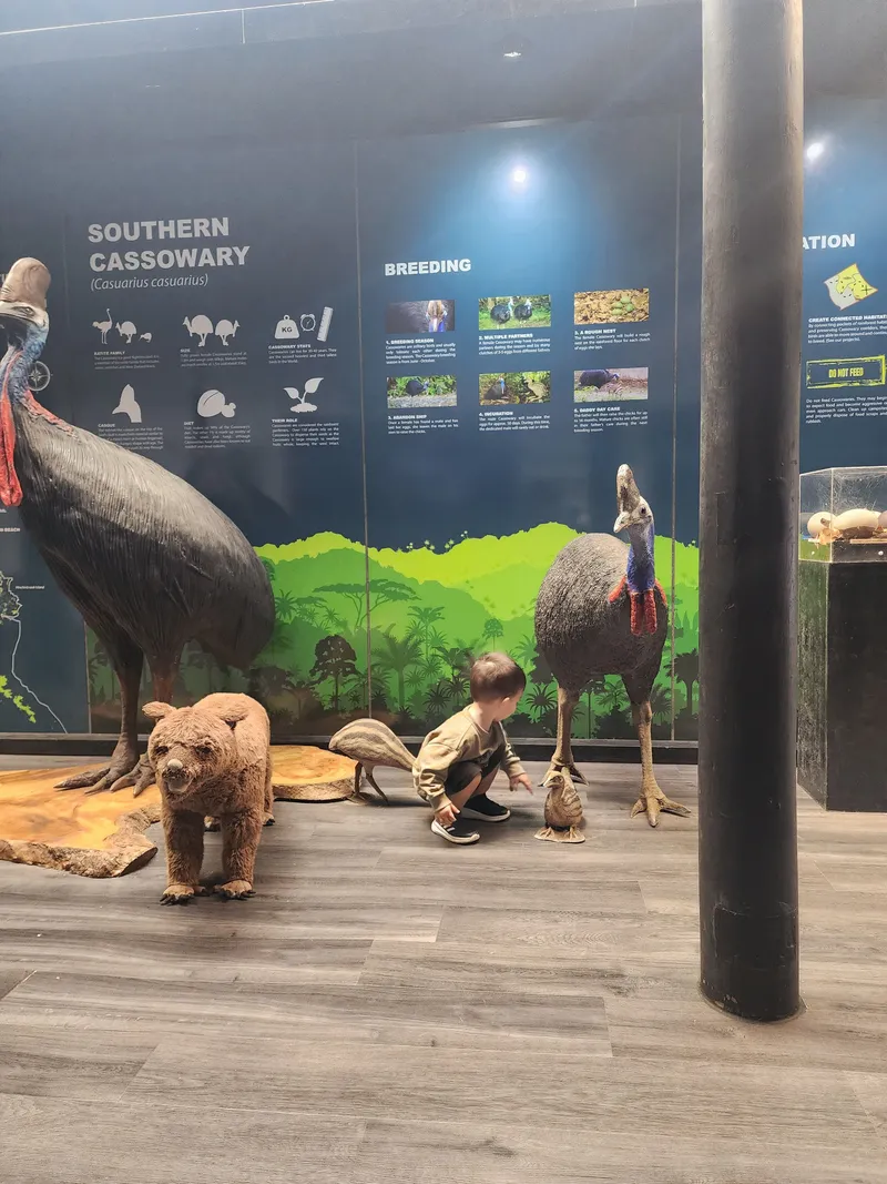 A boy crouching by the cassowary display in the exhibit hall