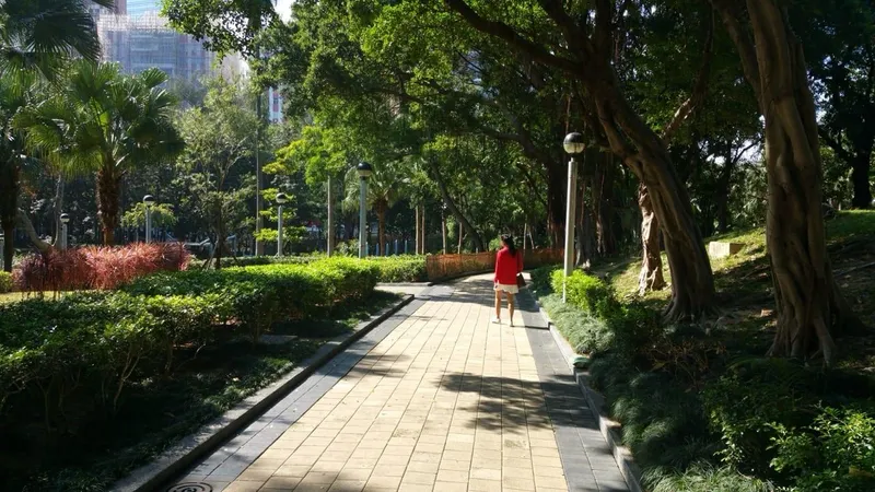 Casual day walking around and another amazing breakfast, photo 1 of 4