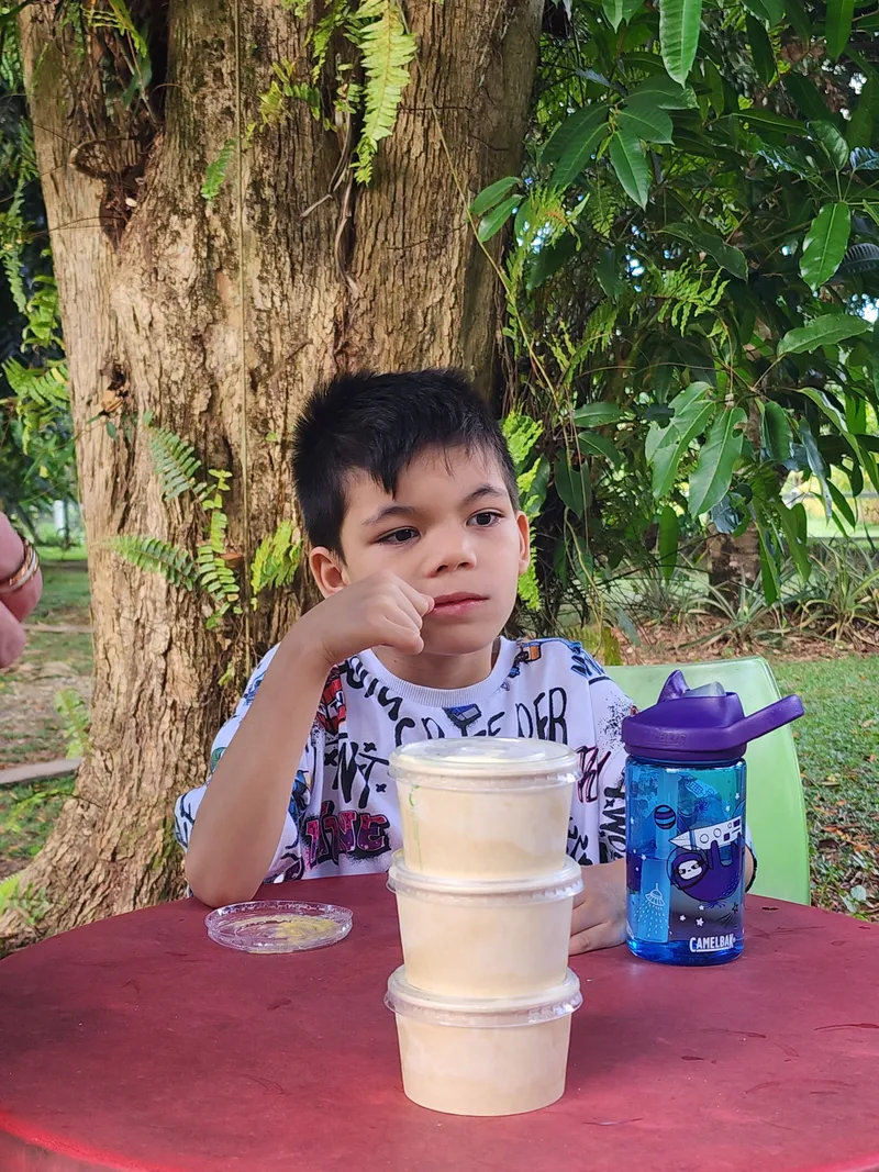 A boy with ice cream tubs at a red table under a tree