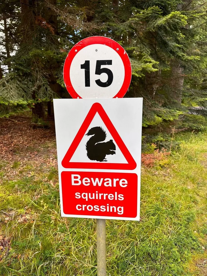 Balmoral, photo 8 of 8
