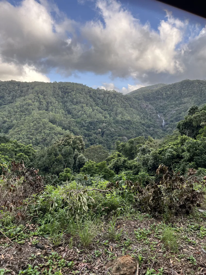 A distant waterfall on the forested mountain