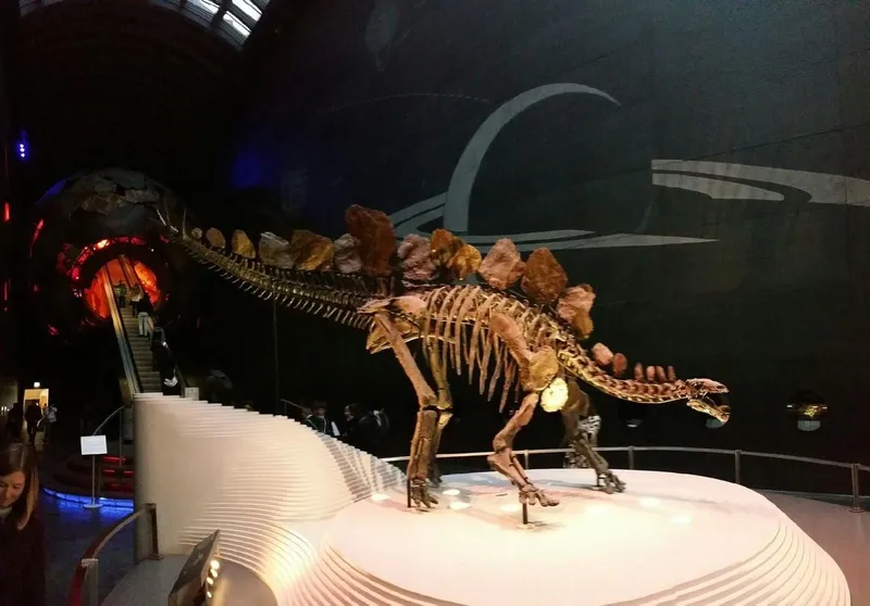 Natural History Museum, photo 4 of 6
