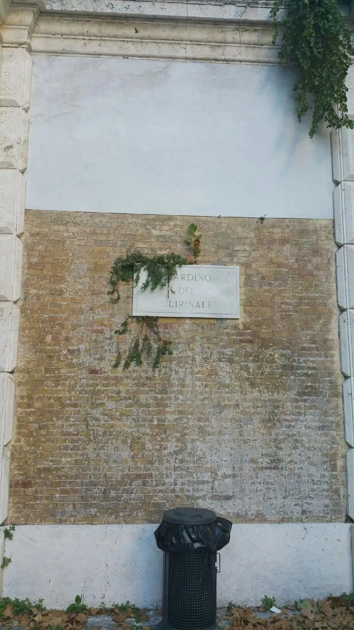 Carlo Alberto, photo 1 of 4
